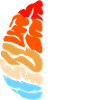 Brain Aneurysm