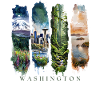Washington Travel – Evergreen & Skyline Vibes