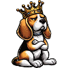 Beagle Beaglebesitzer Beaglehalter beaglehund