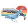 Sperm whale and humpback whale