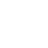 Orangutan Mother with Young Silhouette
