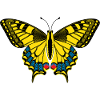 Schmetterling – Butterfly