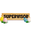 Egg Hunt Supervisor Funny Easter Adult Humor