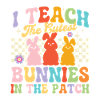 Teach Cutest Bunnies Patch Easter Teacher