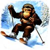 Monkey Ski