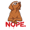 Nope. – Cool Foxred Labbi with sunglasses