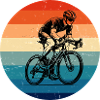 Purist road bike theme