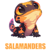 Fire Salamander Salamander