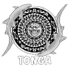 Tonga Nurse Shark
