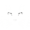 Night Cat Silhouette Angry black cat