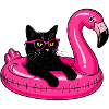 Fat Cat On A Flamingo Floatie