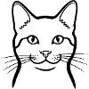 Cat Minimal Animals Doodle