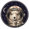 Astronaut sheep in orbit