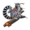 Ring-tailed lemurs