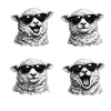 Sheep Sunglasses Quartet