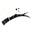 Opossum