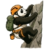 Panda bear bouldering with climbing equipment