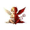 Dual Angel Devil Cherub