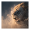 Lion from the Clouds – Royal Strength