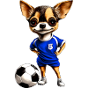 Chihuahua Football Dog
