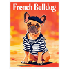 Bouledogue Marin Sailor