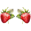 Fraises Aquarelle