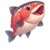 Lachse Lachs