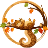 Schlafendes Eichhörnchen im Herbstkreis  