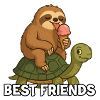 Best Friends Sloth Turtle