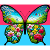 papillon