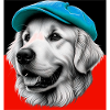 Golden Retriever Dog