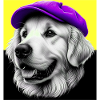 Golden Retriever Dog