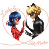 Miraculous Ladybug En Cat Noir Hart