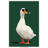 Duck with Cigar and Sunglasses
