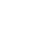 Baboon