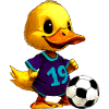 Entchen Fussball