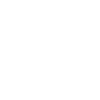 Party