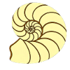 Ammunit Drawing