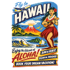 Hawaii Dream Trip 50s Poster