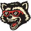 raccoon with red sunglasses cartoon