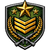 Blason avec fusils