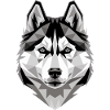 Huskyhunde elsker Elsker sibiriske huskyer