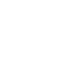 Tamarins lion