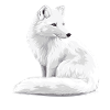 Schneeweißer Fuchs Illustration
