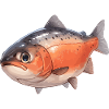 Lachse Lachs