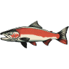 Lachse Lachs