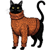 Cable Knit Cat Sweater Weather Cat