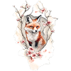 Fox Cherry Blossoms