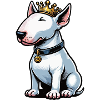 Miniatur Bullterrier Bully Bullterrierbesitzer