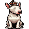 Miniatur Bullterrier Bully Bullterrierbesitzer
